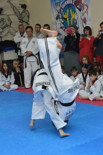 Αθλητές του Hapkido από την Κορέα πραγματοποιούν μία επίδειξη τεχνικών